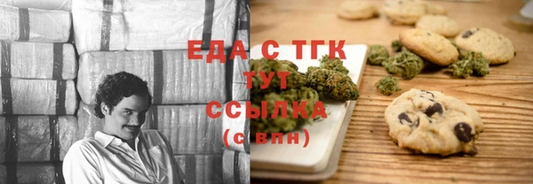 индика Бронницы