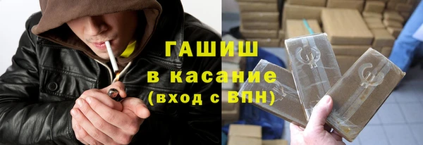 индика Бронницы