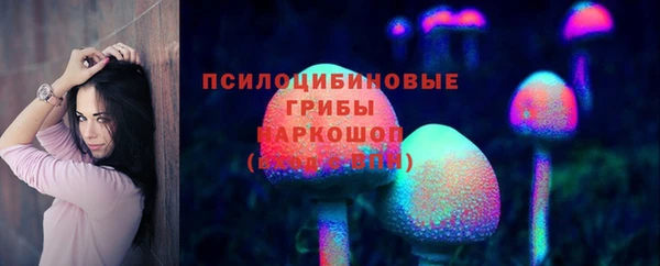 индика Бронницы