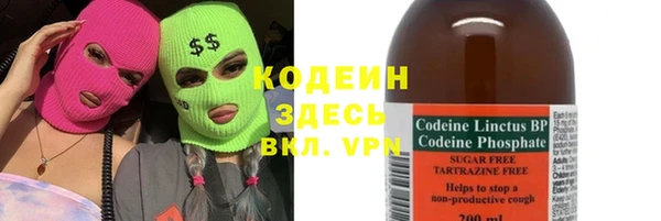 индика Бронницы