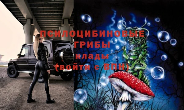 твердый Бородино