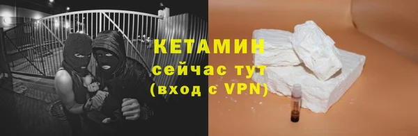 твердый Бородино