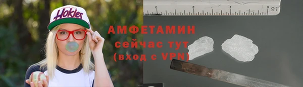 индика Бронницы