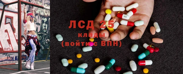 твердый Бородино