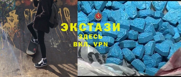 твердый Бородино