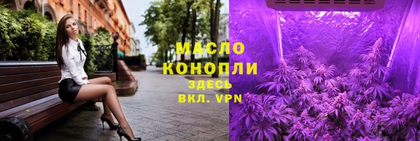 индика Бронницы