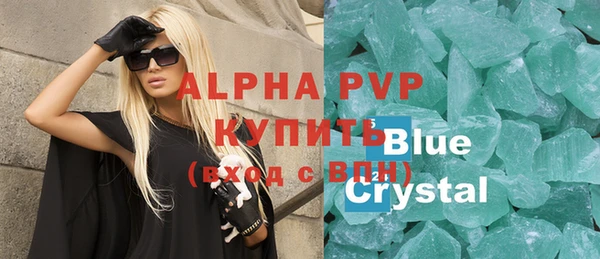 индика Бронницы