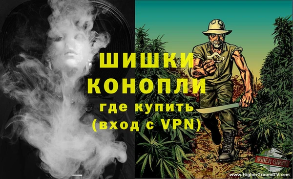 индика Бронницы