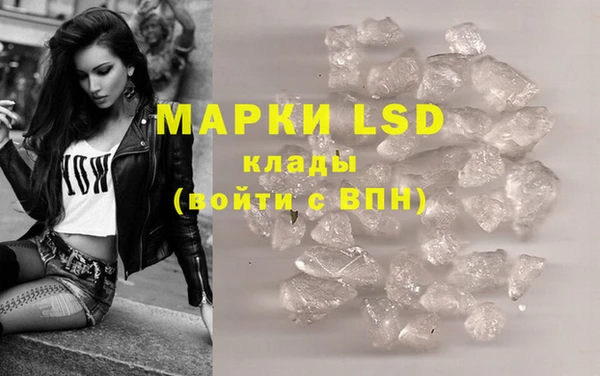 твердый Бородино