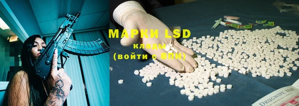 индика Бронницы