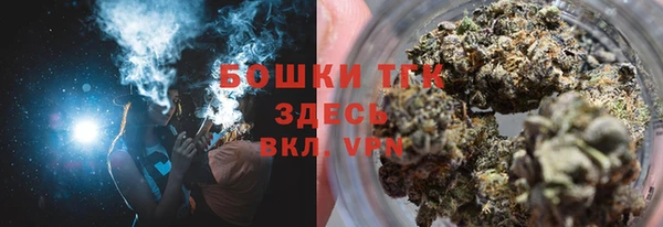 индика Бронницы