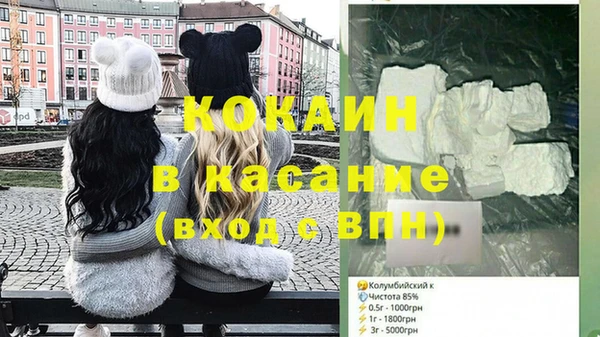 твердый Бородино