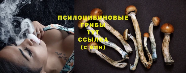 твердый Бородино