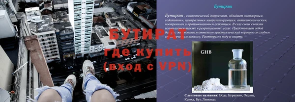 индика Бронницы