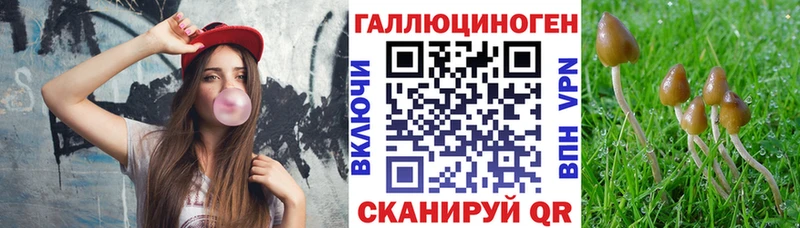 Купить  Буйнакск  Псилоцибиновые грибы Psilocybine cubensis 